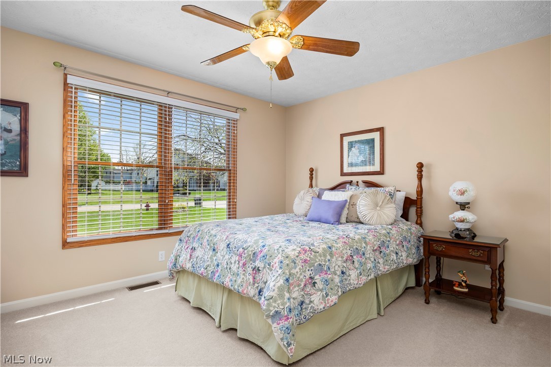 1009 Glendalough Drive Grafton OH 44044