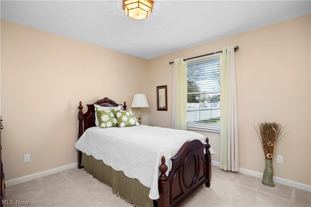 1009 Glendalough Drive Grafton OH 44044