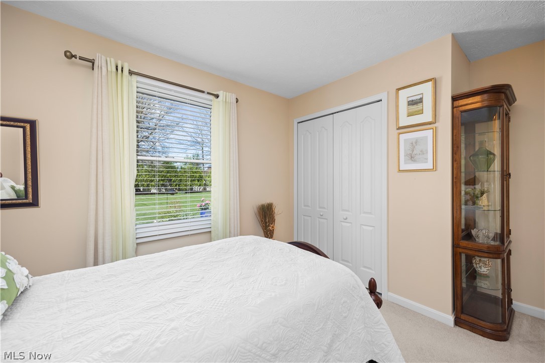1009 Glendalough Drive Grafton OH 44044
