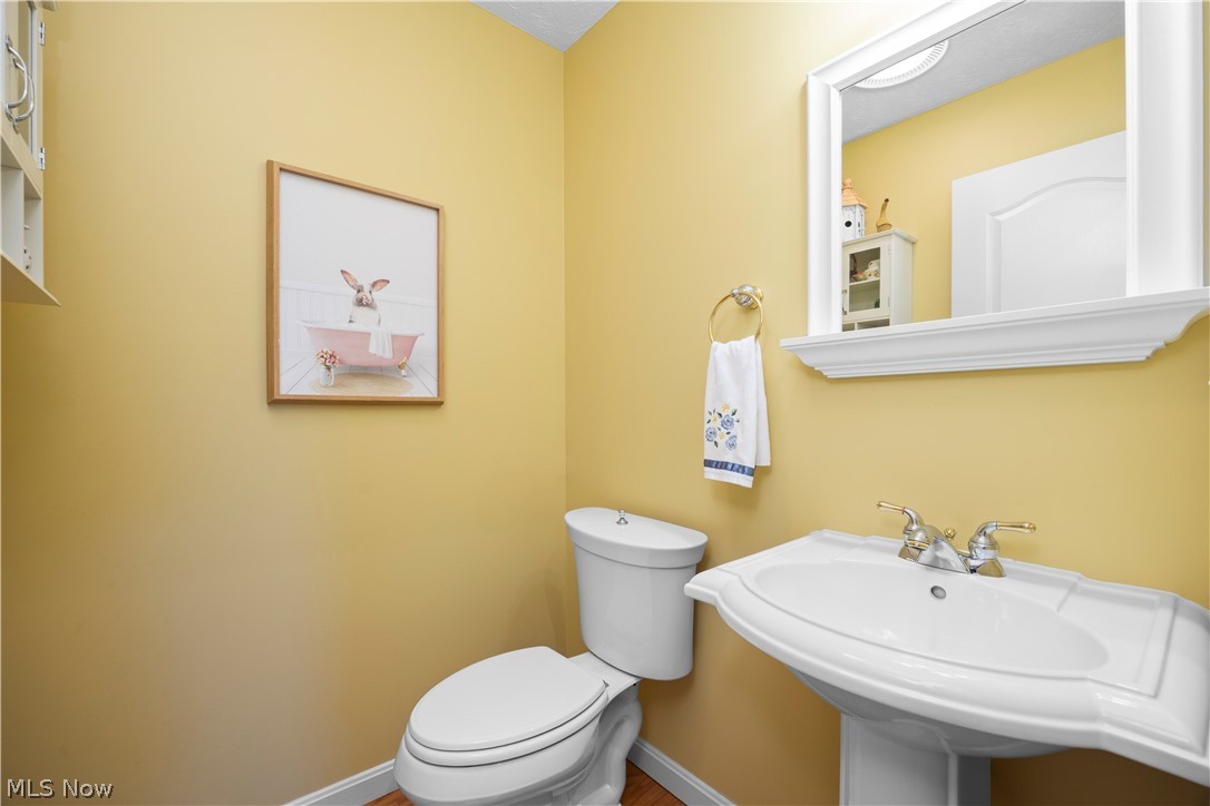 1009 Glendalough Drive Grafton OH 44044