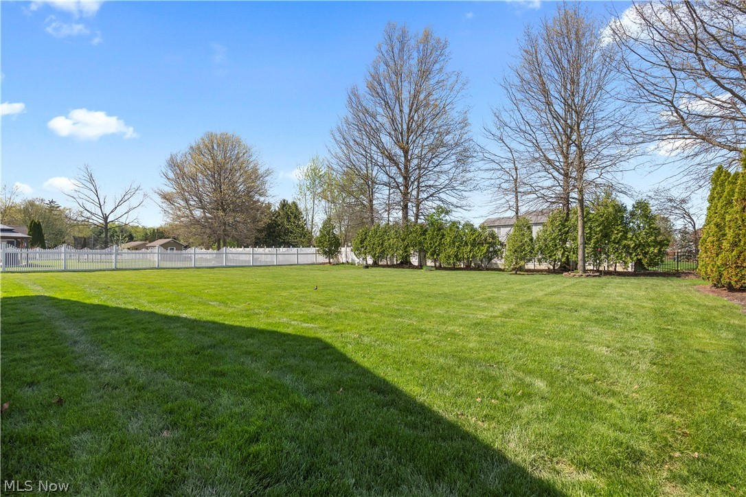 1009 Glendalough Drive Grafton OH 44044