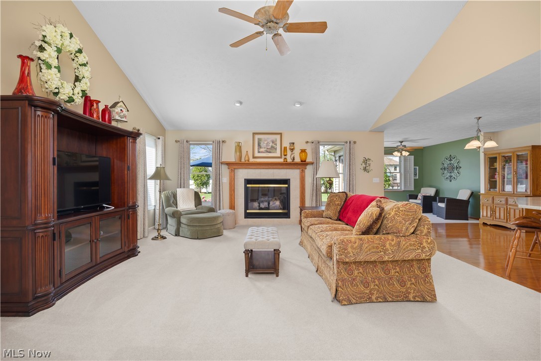 1009 Glendalough Drive Grafton OH 44044