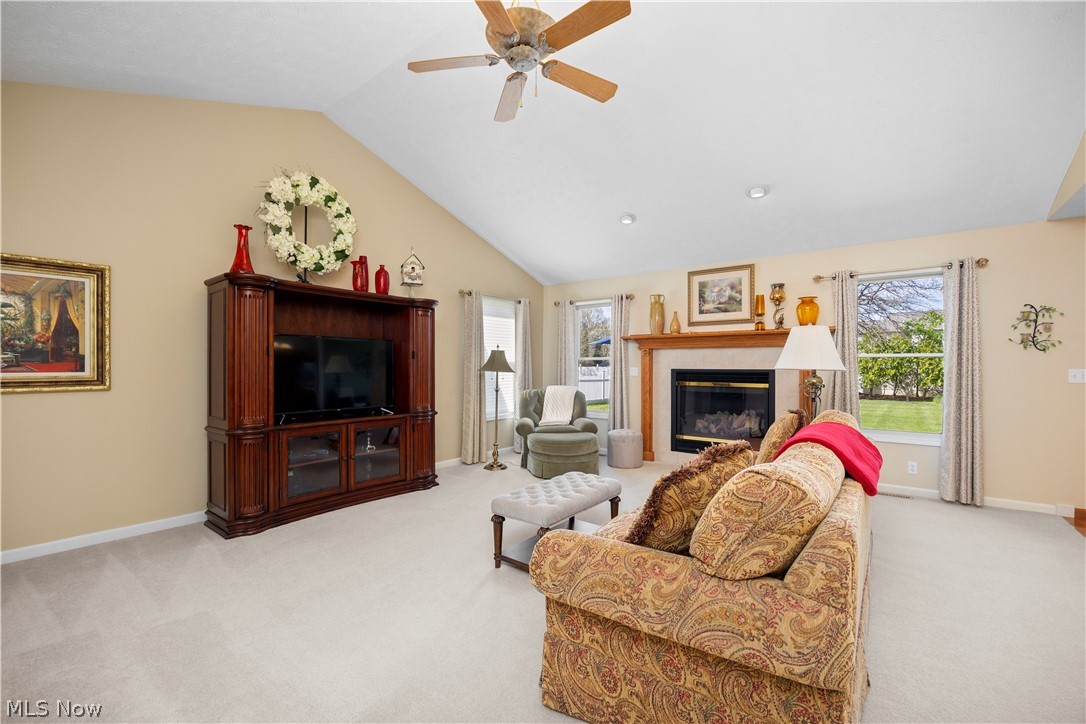 1009 Glendalough Drive Grafton OH 44044