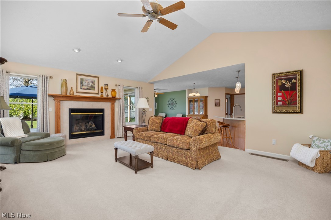 1009 Glendalough Drive Grafton OH 44044