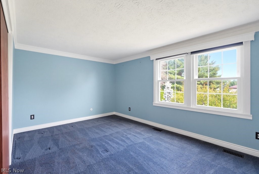 10007 Patton Street Twinsburg OH 44087