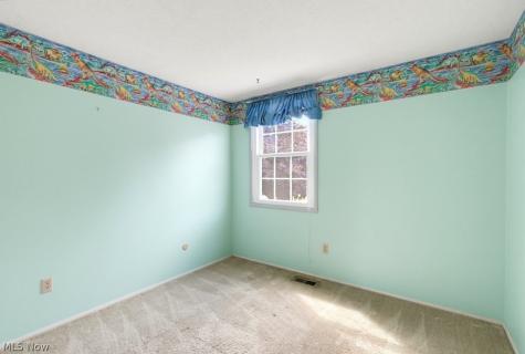 10007 Patton Street Twinsburg OH 44087