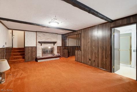 10007 Patton Street Twinsburg OH 44087