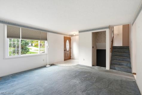 10007 Patton Street Twinsburg OH 44087