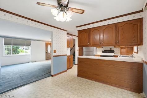 10007 Patton Street Twinsburg OH 44087