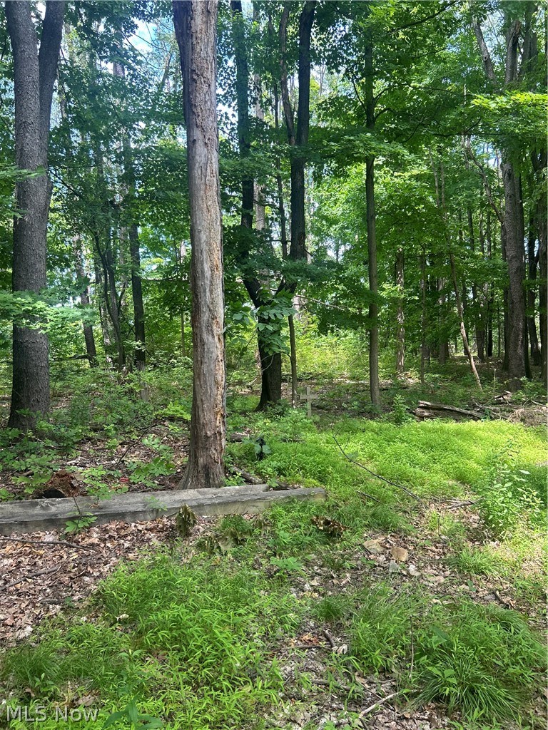 1971 Presidential Parkway Twinsburg OH 44087