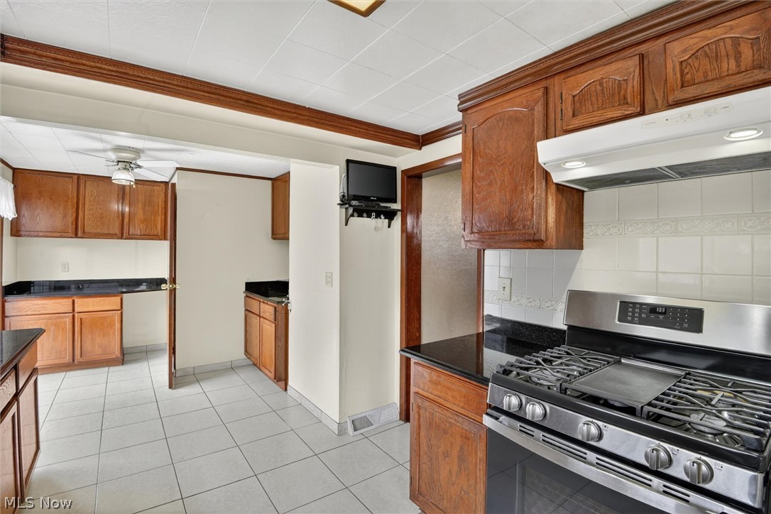 227 Courtland Street Painesville OH 44077