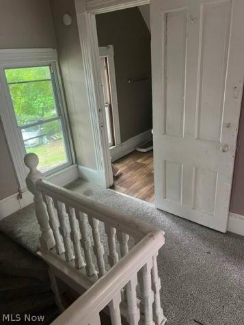 14809 Pepper Avenue Cleveland OH 44110