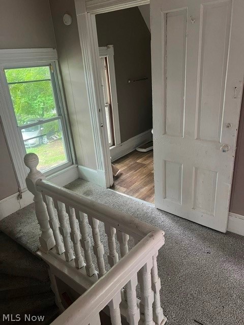 14809 Pepper Avenue Cleveland OH 44110