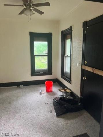 14809 Pepper Avenue Cleveland OH 44110