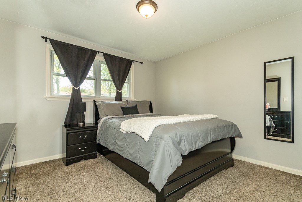4841 Robinwood Drive Mentor OH 44060