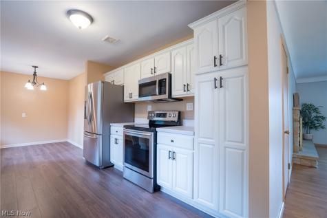 320 Justo Lane Seven Hills OH 44131