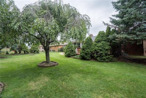 320 Justo Lane Seven Hills OH 44131