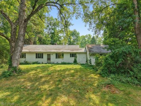 8658 Riverview Road Brecksville OH 44141