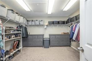 2942 Robert Gary Court Medina OH 44256
