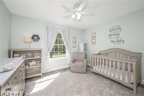 2942 Robert Gary Court Medina OH 44256