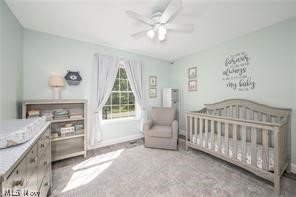 2942 Robert Gary Court Medina OH 44256