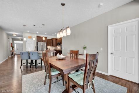 9006 Shady Elm Lane Olmsted Twp OH 44138