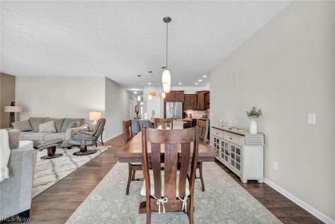 9006 Shady Elm Lane Olmsted Twp OH 44138