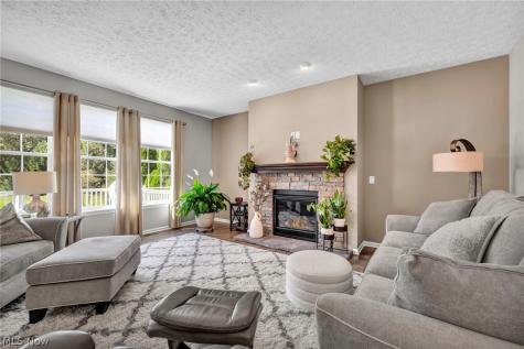 9006 Shady Elm Lane Olmsted Twp OH 44138