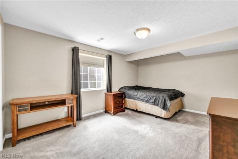 9006 Shady Elm Lane Olmsted Twp OH 44138