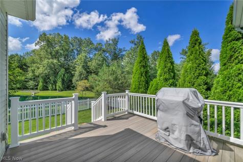 9006 Shady Elm Lane Olmsted Twp OH 44138