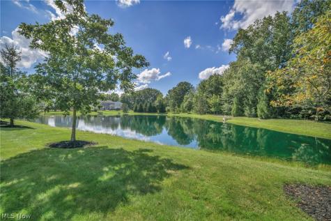 9006 Shady Elm Lane Olmsted Twp OH 44138