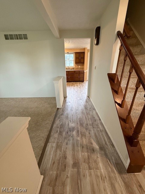 6884 Slippery Rock Drive Canfield OH 44406