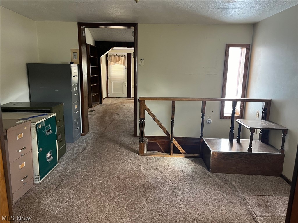 289 Canton Road Wintersville OH 43953