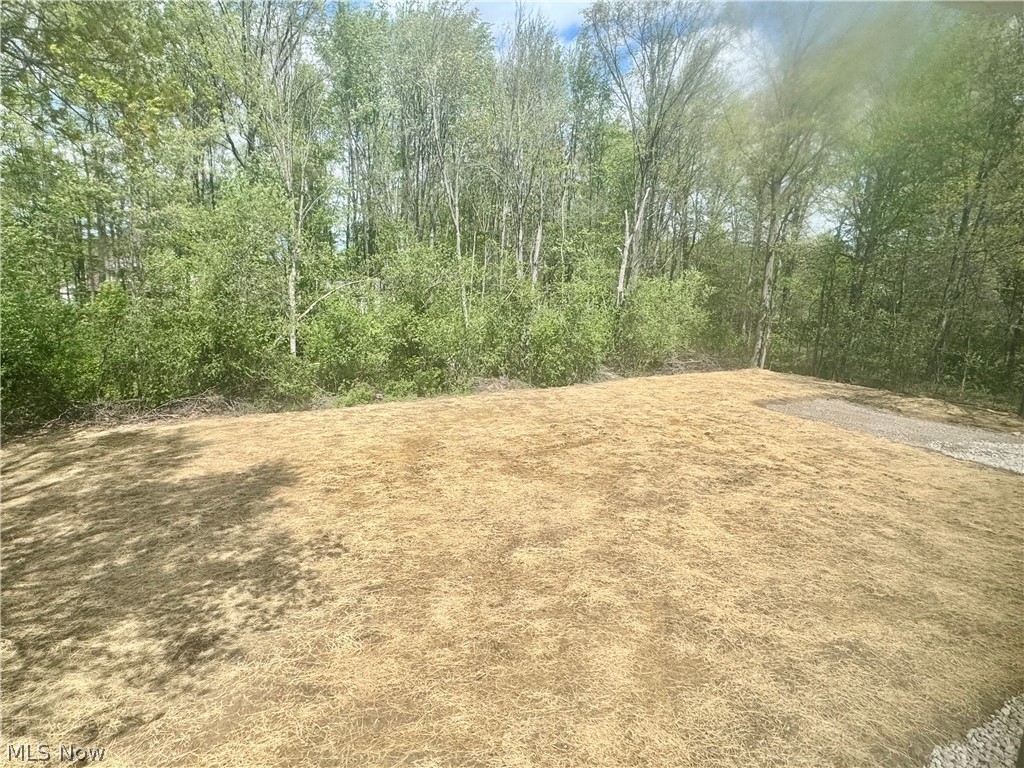 40878 Myrtle Court Elyria OH 44035