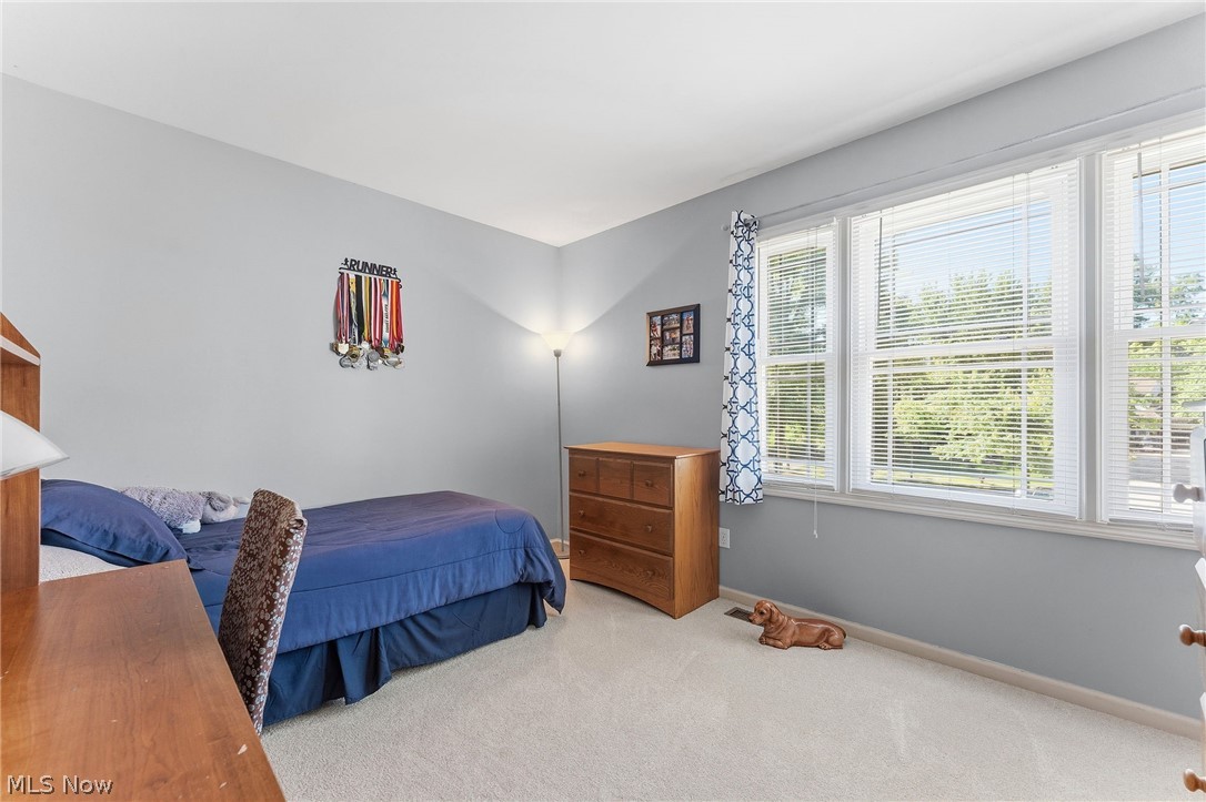 9187 Davis Way Twinsburg OH 44087