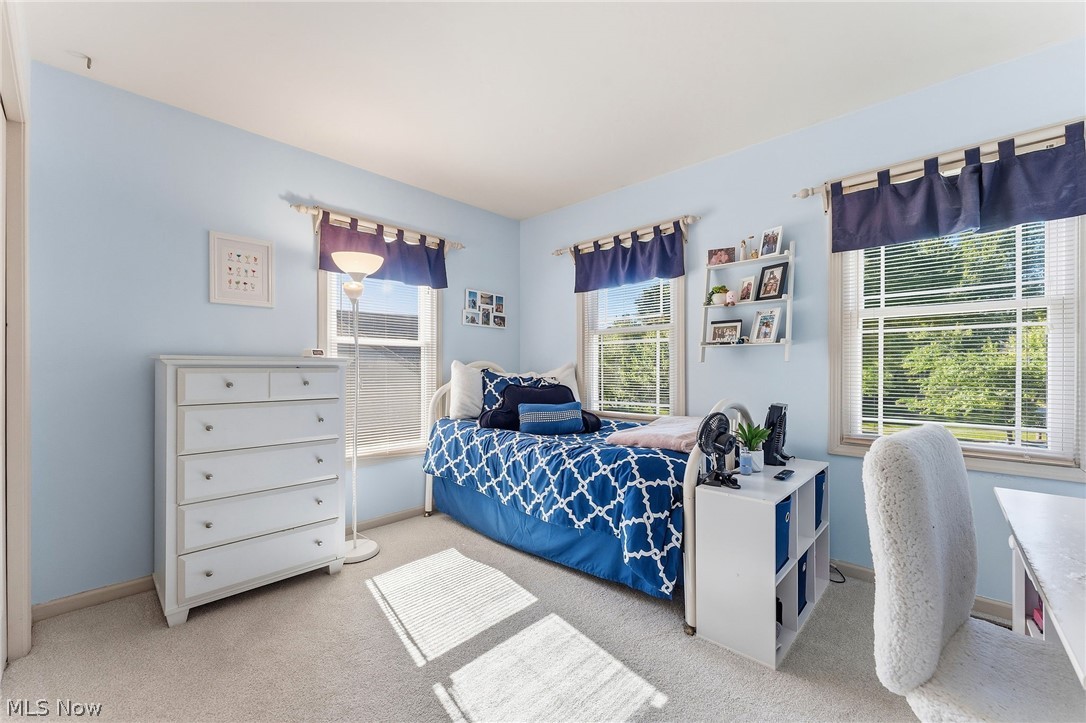 9187 Davis Way Twinsburg OH 44087