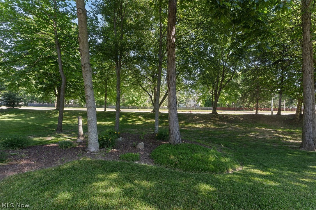 9187 Davis Way Twinsburg OH 44087