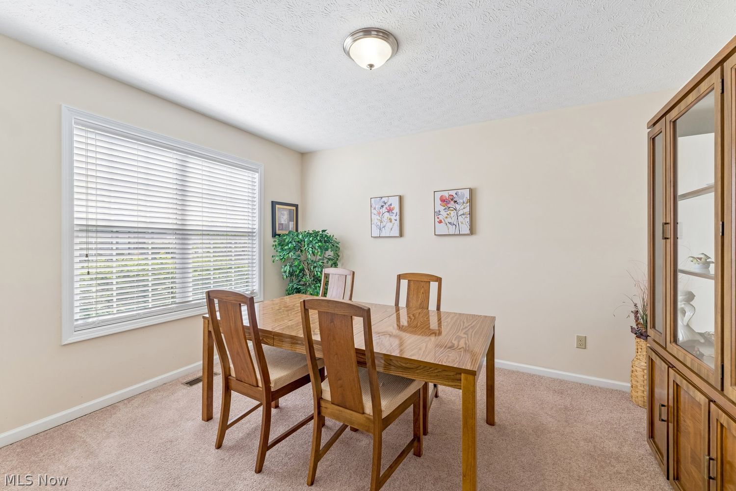 115 Carrington Court Elyria OH 44035