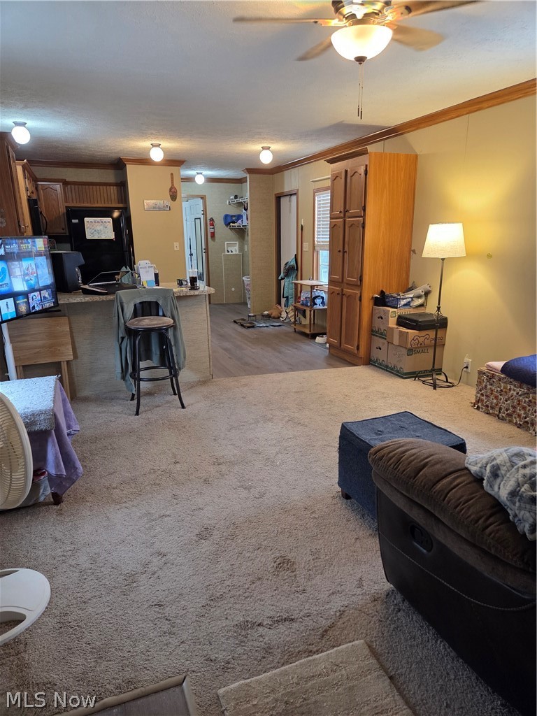 101 Irma Lane Olmsted Falls OH 44138