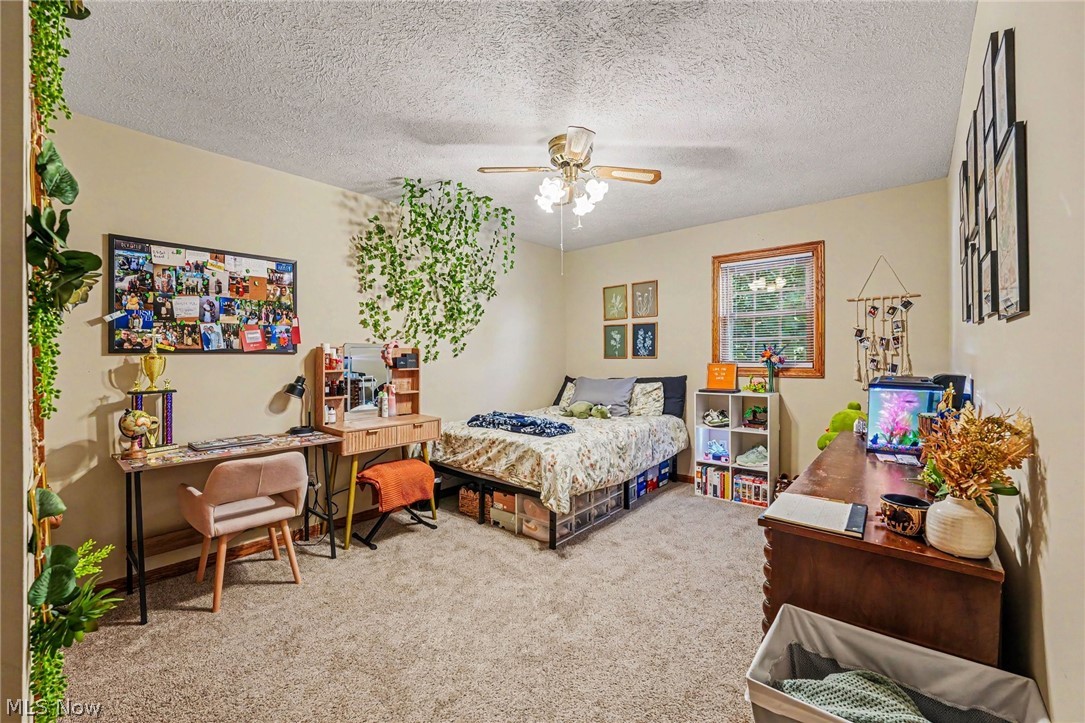 1907 Opal Street Louisville OH 44641