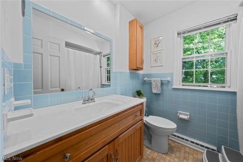 119 Colony Drive Hudson OH 44236