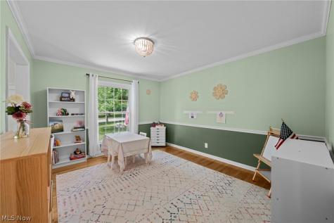 119 Colony Drive Hudson OH 44236