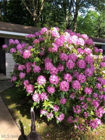 5890 Ruple Brook Park OH 44142