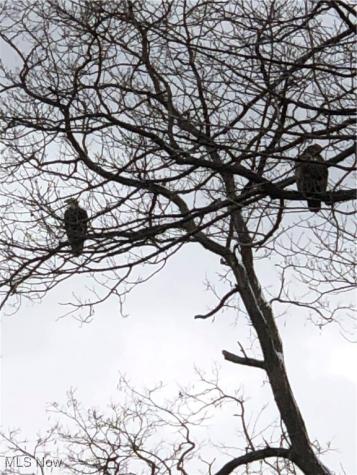 5890 Ruple Brook Park OH 44142