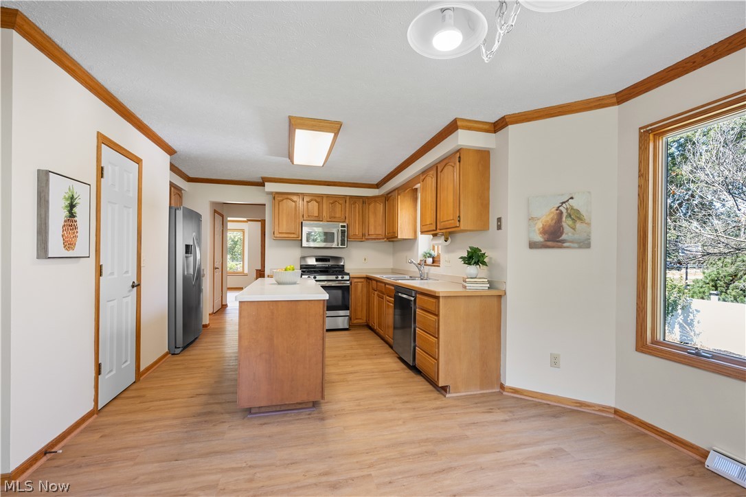 37959 Detroit Road Avon OH 44011