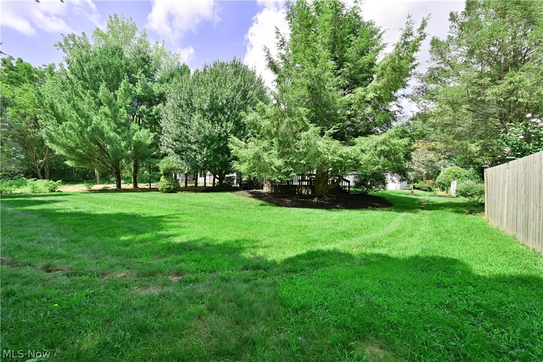 37959 Detroit Road Avon OH 44011