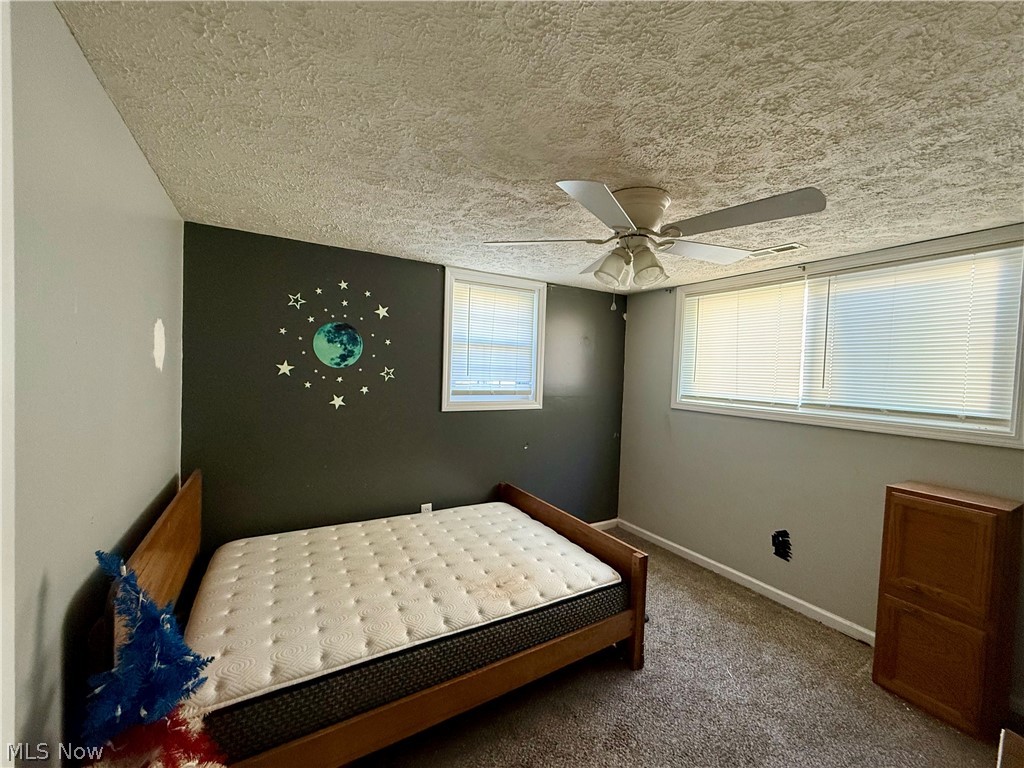 1128 Oakwood Drive Vermilion OH 44089