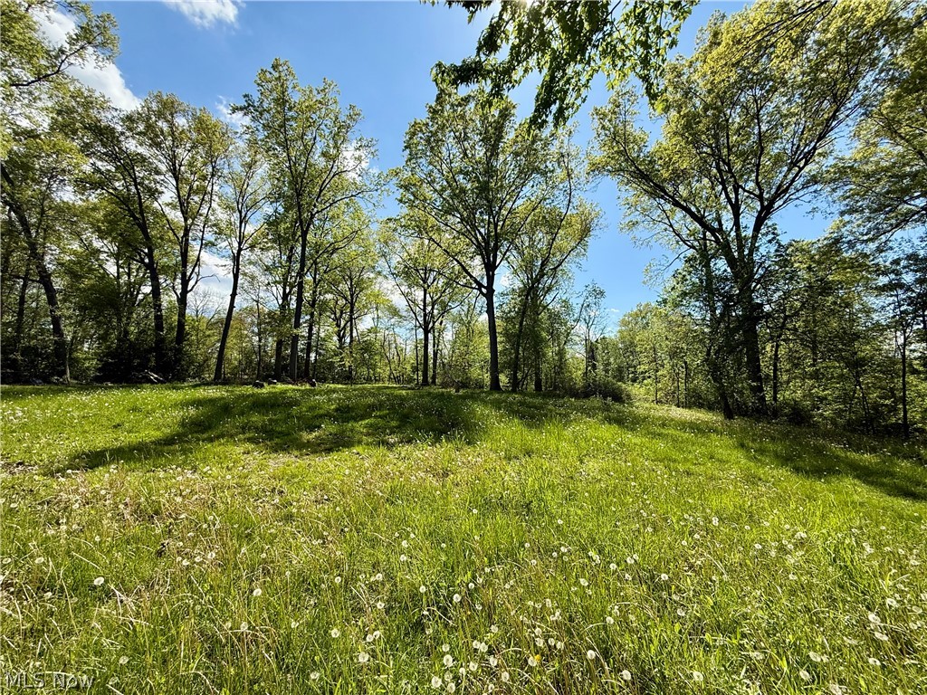1128 Oakwood Drive Vermilion OH 44089