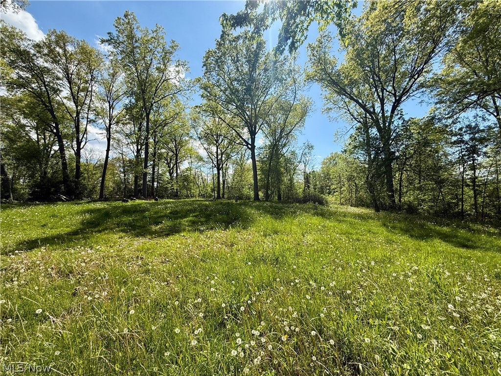 1128 Oakwood Drive Vermilion OH 44089
