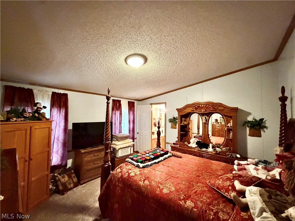 2650 Lake Breeze Drive Madison OH 44057